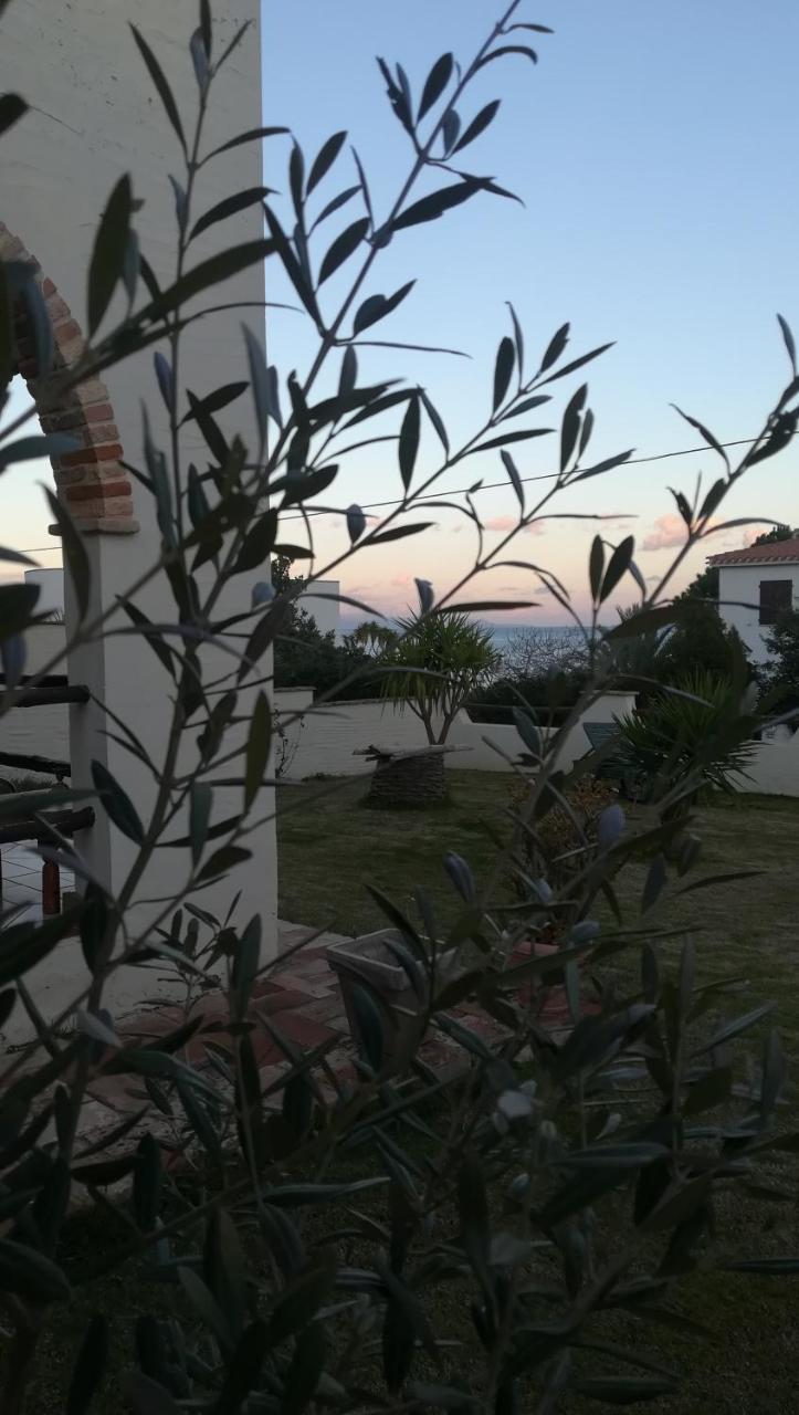Villa Dolly Porto Columbu - Perd'E Sali 外观 照片